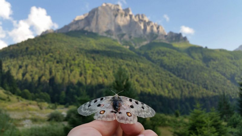 Интересни податоци за Шар планина