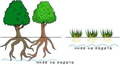 Шума и вода