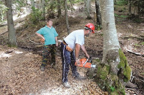 кривична пријава за злоупотреба