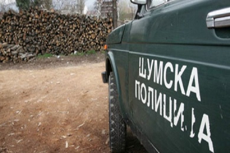 Дивата сеча на шумите