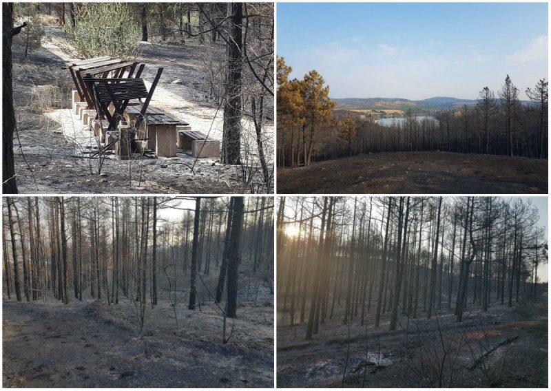 Pozar-Veles-posledici