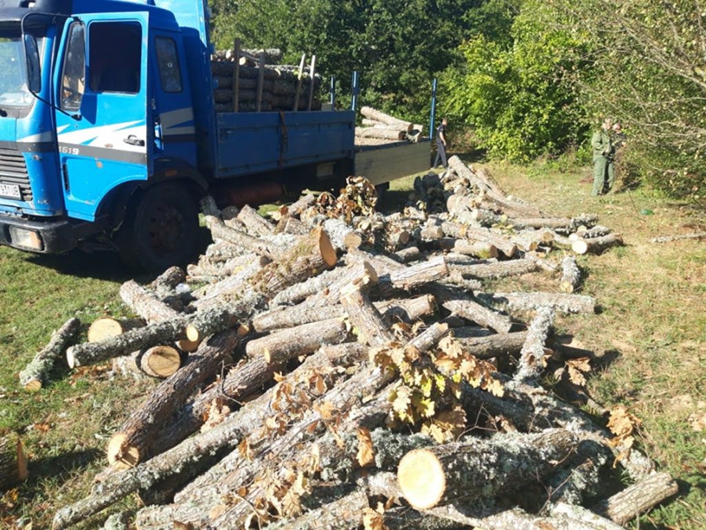 НП Шар Планина дрва