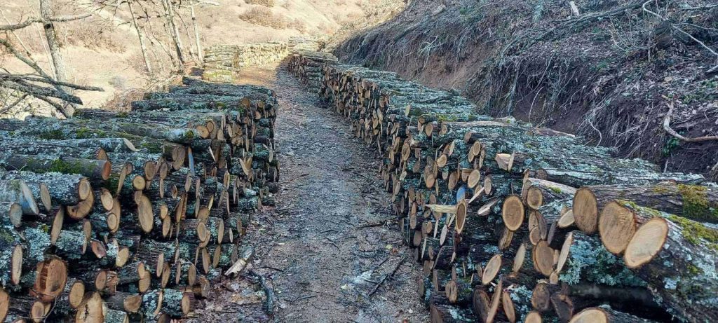 НП Шар Планина дрва за огрев