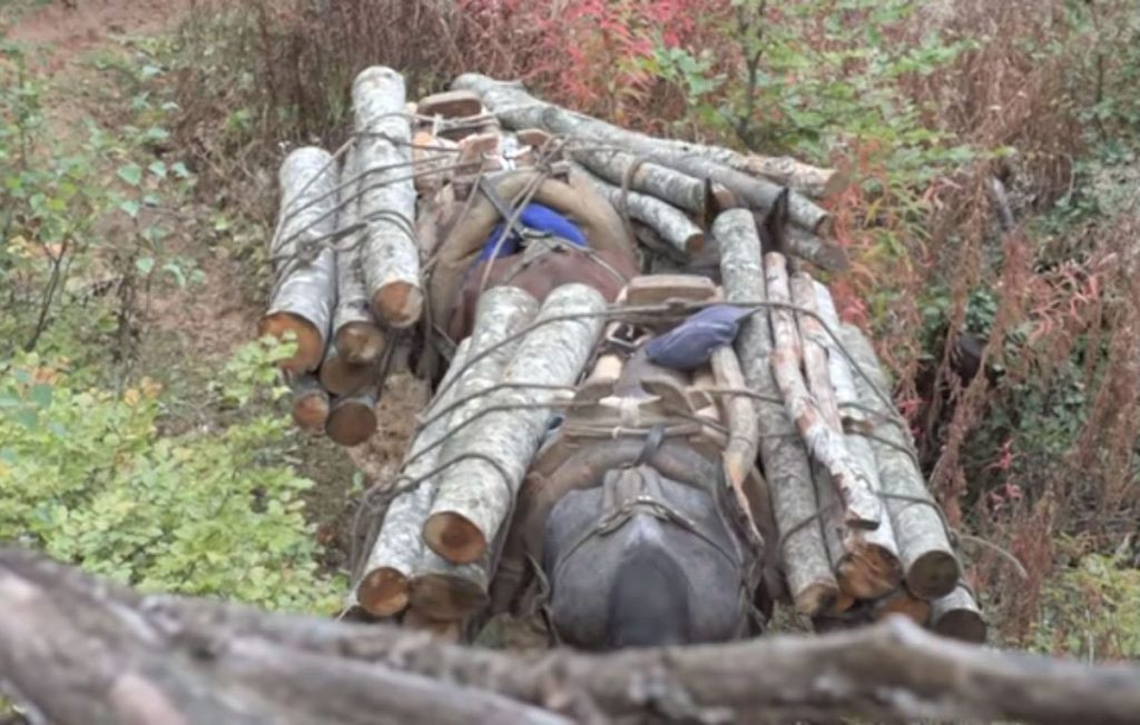 Коњи со дрва