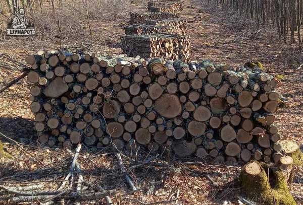 Огревно дрво