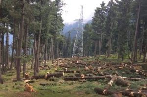 Да се грижиме за шумите, за шумите да се грижат за нас Опсервер: Да се грижиме за шумите