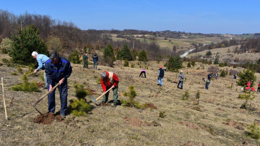 Пошумувања во Македонија