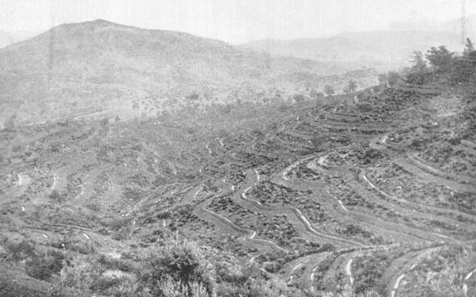 Пошумувања во Македонија