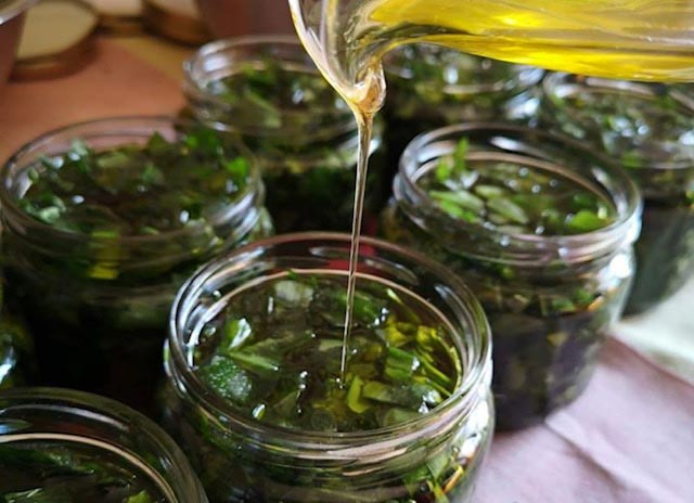 Див лук или аllium ursinum