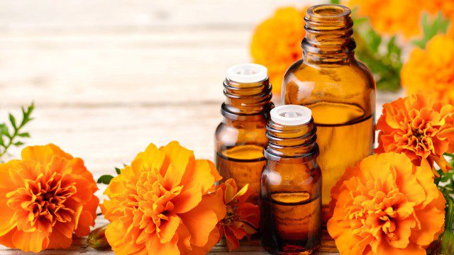 Tagetes medicine