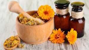 Џунџулето лекува дури 100 болести