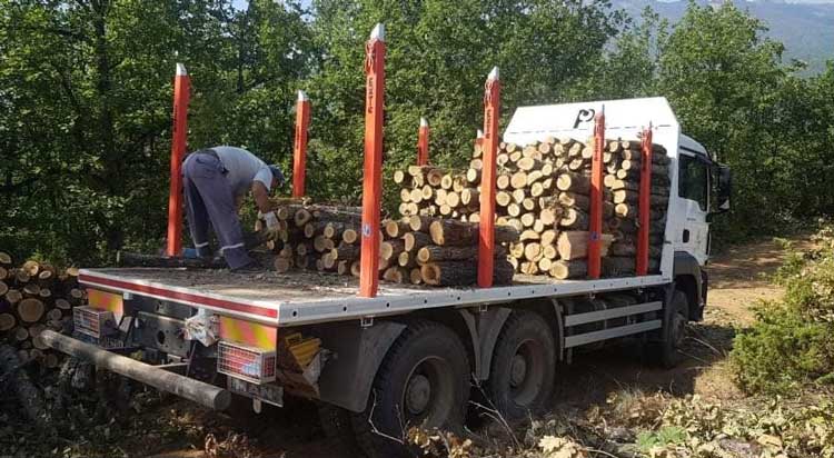 Реформите надеж за шумарството