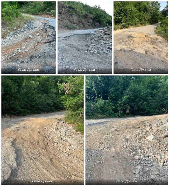 масовна сеча транспорт дрва уништува