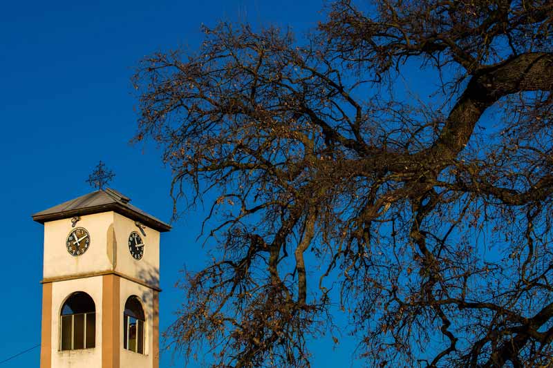 Кривогаштански блатен даб