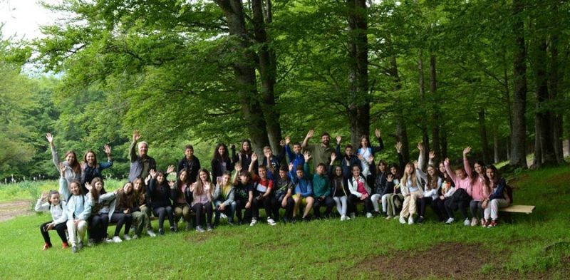 Рис Маврово